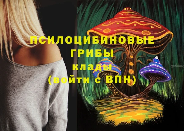 прущие крисы Сосновый Бор