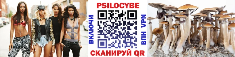 Галлюциногенные грибы Magic Shrooms  где купить наркотик  Грязи 