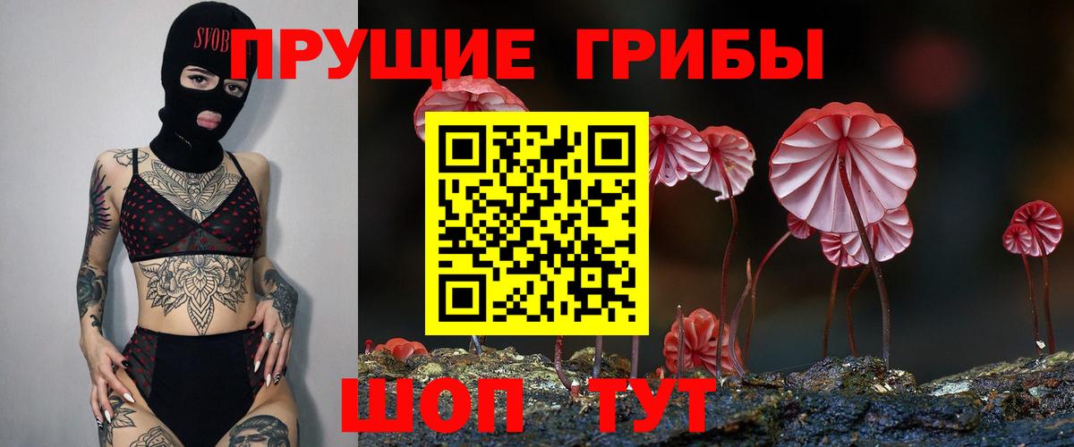 Грязи  Галлюциногенные грибы ЛСД  Вход с VPN 